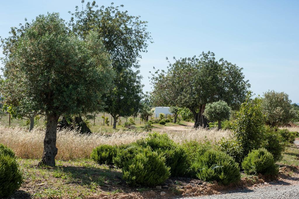 Hostal Pensão Agrícola Cabanas De Tavira Exterior foto